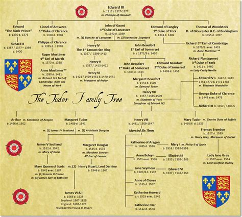 tudor and stuart monarchs family tree|tudor family tree with names.